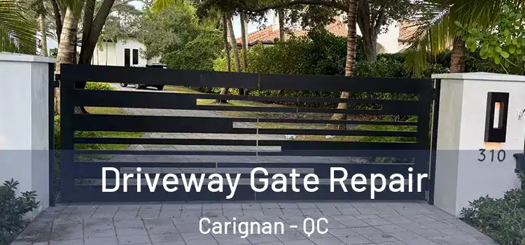 Driveway Gate Repair Carignan - QC