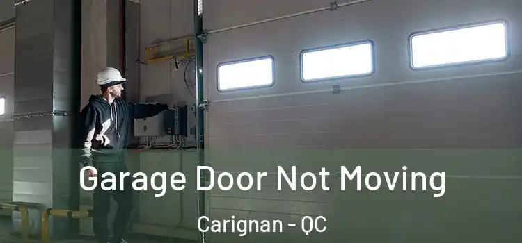  Garage Door Not Moving Carignan - QC