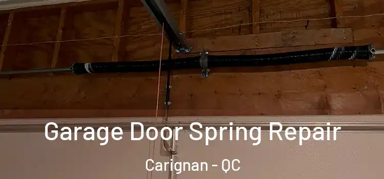  Garage Door Spring Repair Carignan - QC