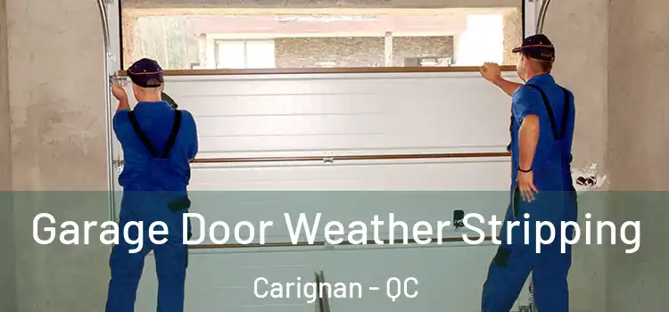  Garage Door Weather Stripping Carignan - QC