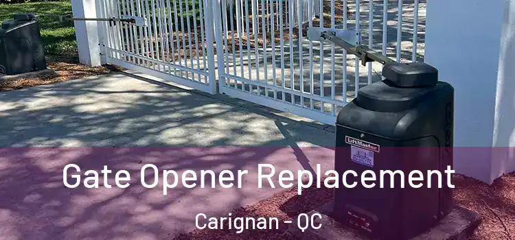 Gate Opener Replacement Carignan - QC