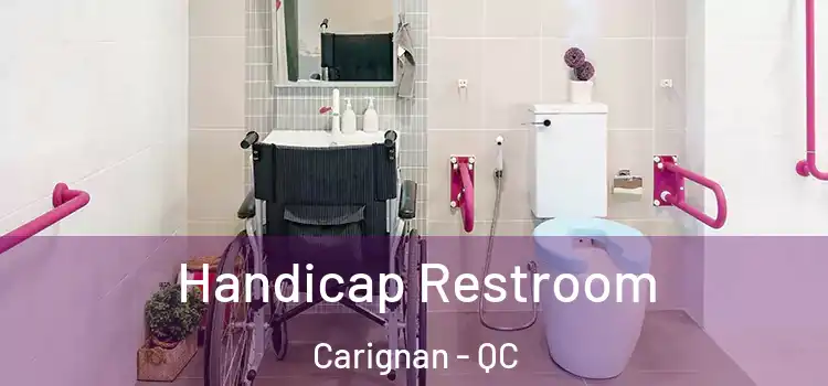  Handicap Restroom Carignan - QC