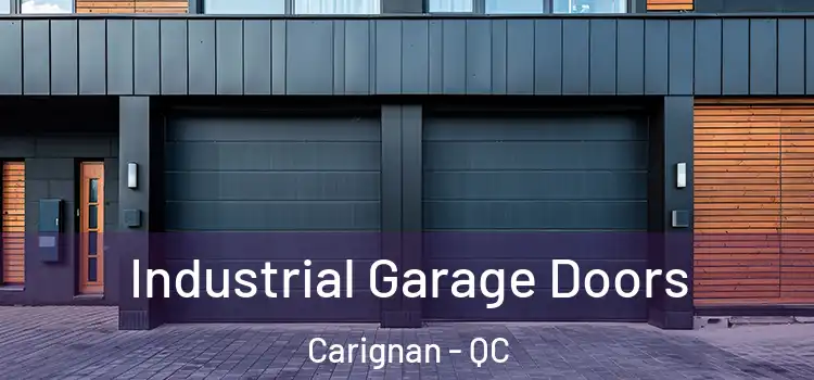  Industrial Garage Doors Carignan - QC