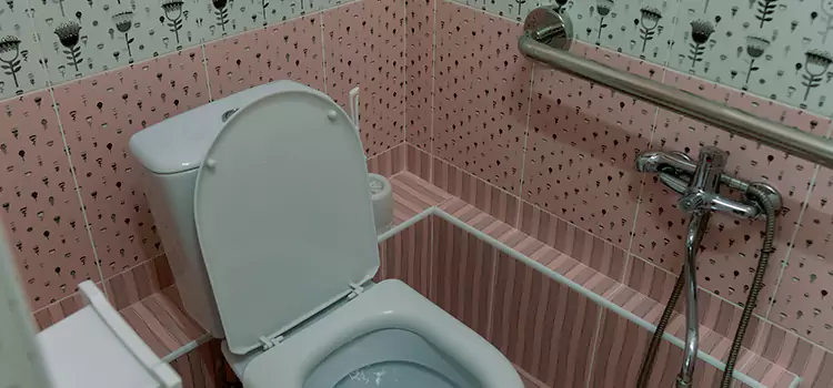 Meeting Diverse Needs With Accessible Restroom Solutions in Carignan, QC