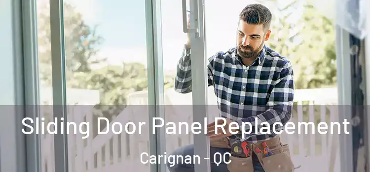  Sliding Door Panel Replacement Carignan - QC
